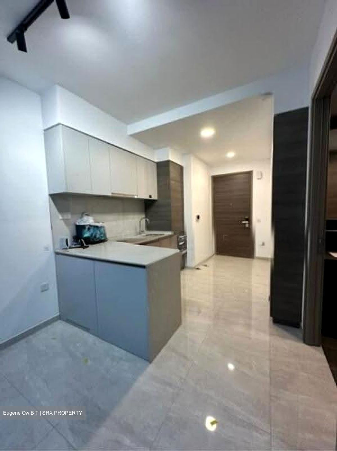 The Florence Residences (D19), Apartment #619374801